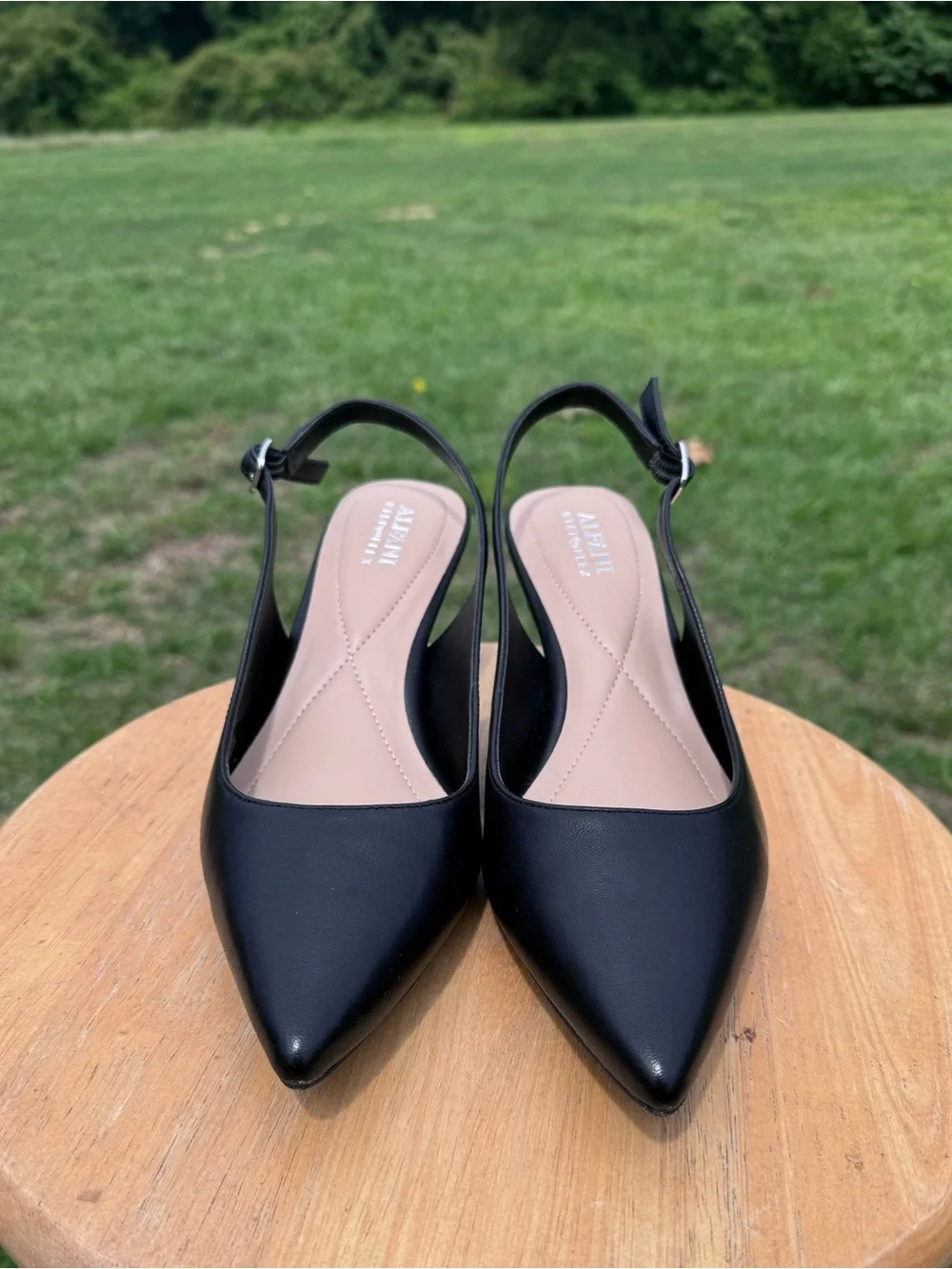 Ladies Alfani Black Pointed-Toe Slingback Pumps